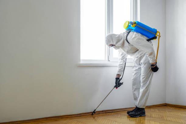 Insect Control in Beech Island, SC