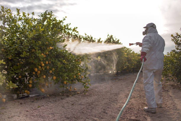  Beech Island, SC Pest Control Pros
