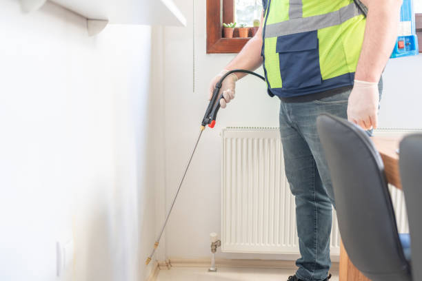 Professional Pest Control in Beech Island, SC