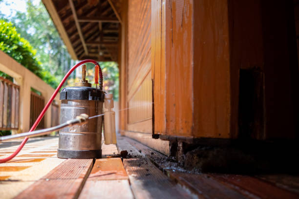 Best Exterminator Services  in Beech Island, SC